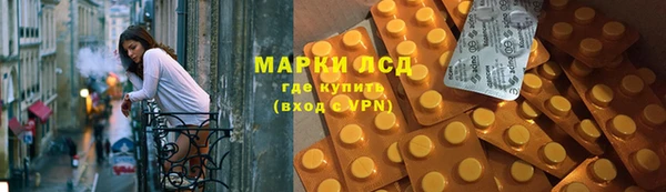 стафф Алзамай