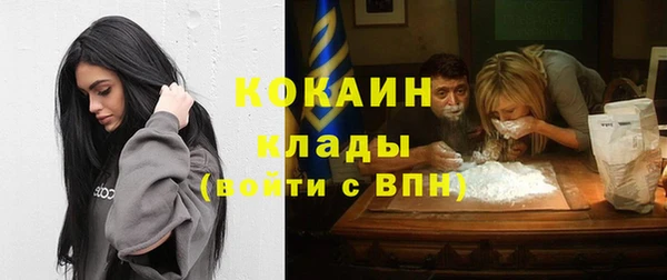 крисы Краснослободск