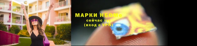 стафф Алзамай