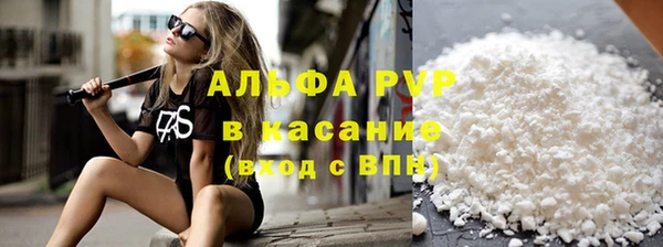 стафф Алзамай