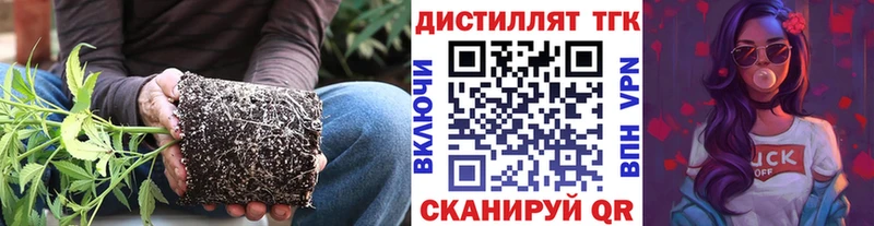 Дистиллят ТГК гашишное масло  где купить наркоту  Вихоревка 