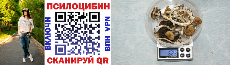 Галлюциногенные грибы Magic Shrooms  где купить наркоту  Вихоревка 
